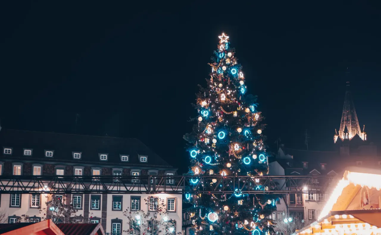 Strasbourg’s illuminated Christmas tree above the market rooftops.