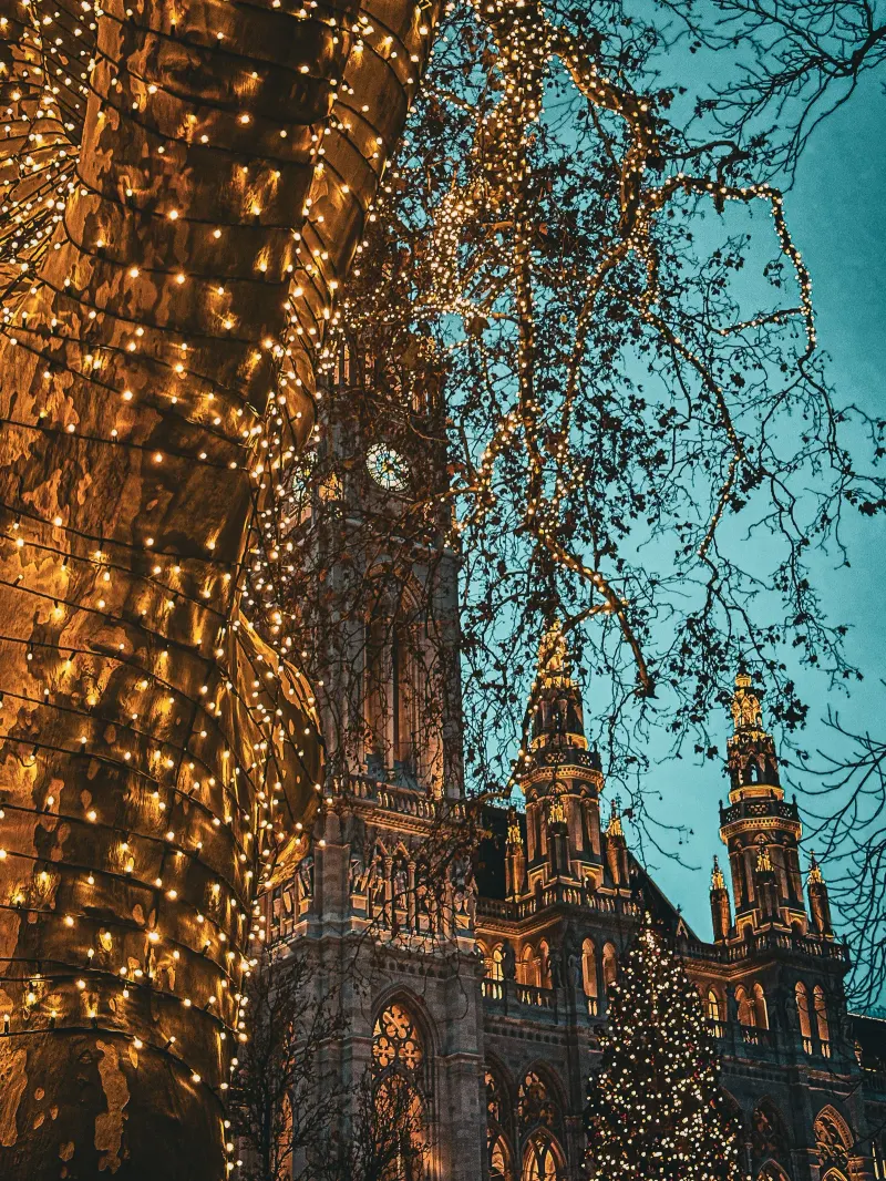 Festive lights in the trees around Vienna’s Rathaus; archive seasonal photograph
